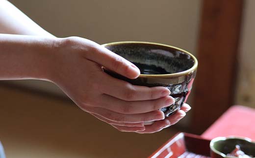 å°ç°è±¡éºå æ¹è¶ç¹ãŠäœéšä»ããèåè³2åæ§ æ¹è¶ é£äºåž é£äº å©çšåž ãé£äºåž ãã±ãã F5J-953