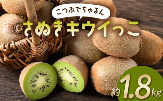 【旬な時期にお届けします！11月下旬〜12月中旬 】 こつぶでちゅるん さぬきキウイっこ 約1.8kg 糖度 17〜20度 一口サイズ 香川 四国 フルーツ 果物 くだもの キウイ キュウイ 果実 フルーツ 旬  香川県 香川県共通返礼品 F5J-544