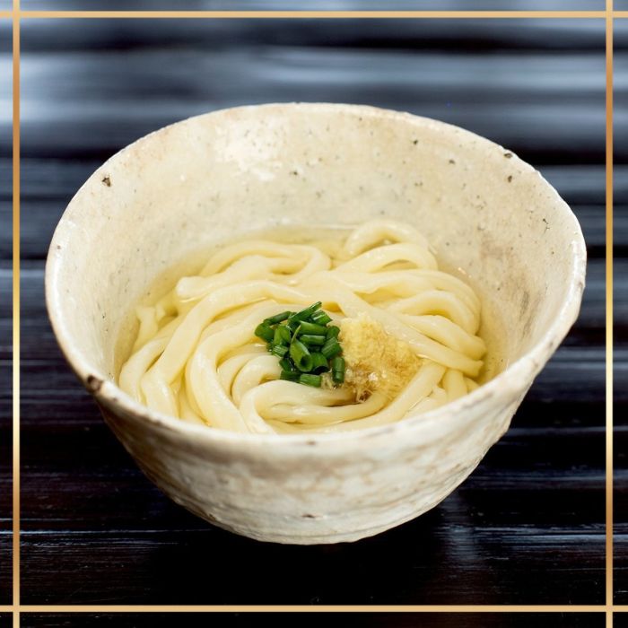 たどつ製麵　本生かけうどん　だし付き 8人前【B-73】