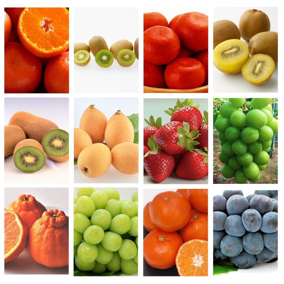 【フルーツ定期便】フルーツ王国さぬきの旬のフルーツを毎月１種類ずつお届け【G-8】