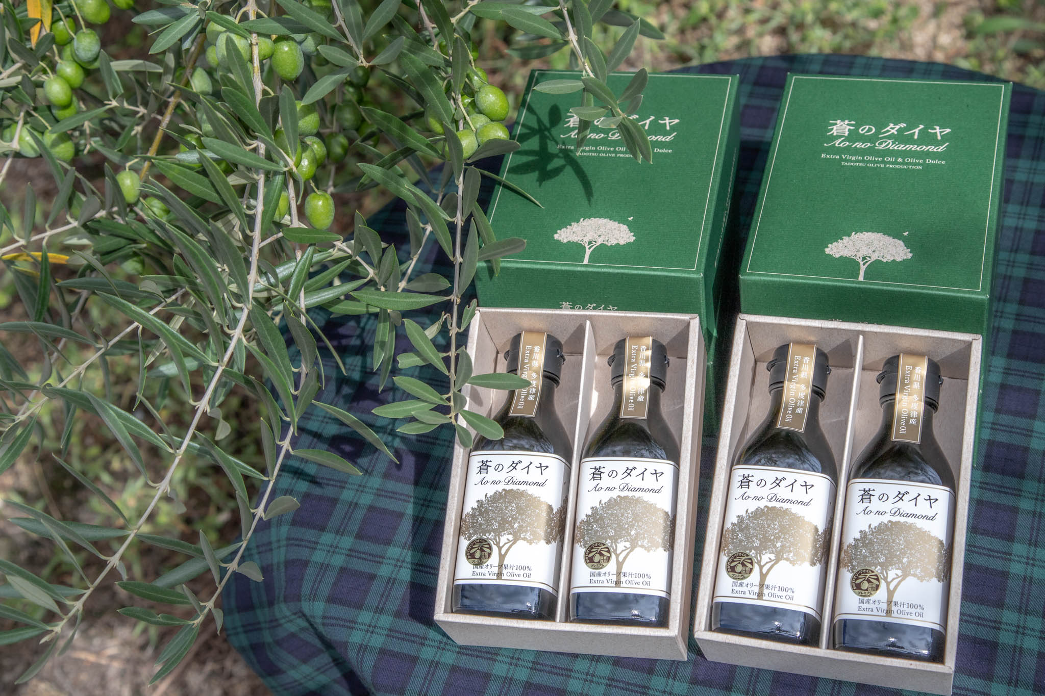 ãèŒã®ãã€ã€ããªãªãŒããªã€ã«ã»ããEãE-3ã