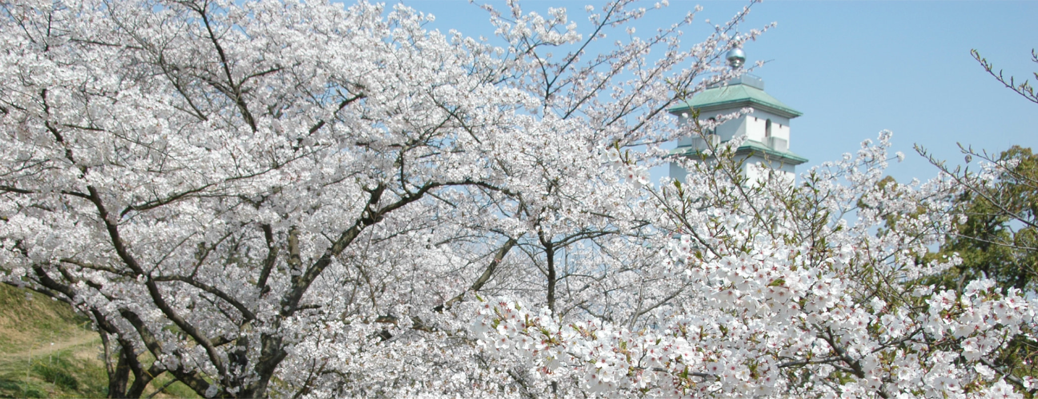 香川県多度津町