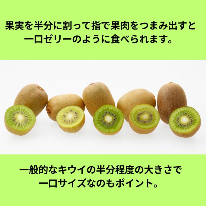 香川県オリジナルキウイフルーツ「さぬきキウイっこ約1.3kg【予約受付中！令和8年11月上旬頃から発送】【A-46】