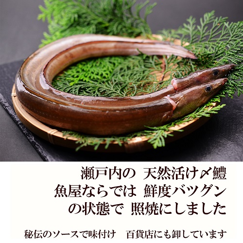 鱧の照り焼き（100g×5切れ）【冷凍】【A-44】