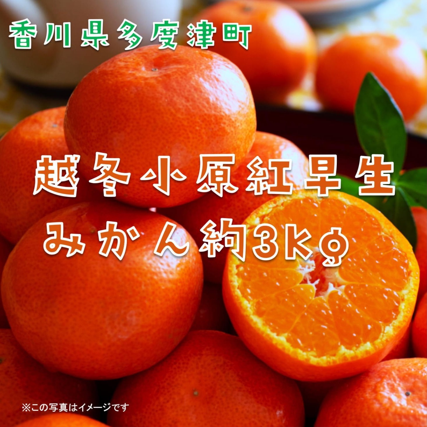 『越冬小原紅早生みかん』約3kg【予約受付中！令和9年1月中旬より発送！】【B-33】