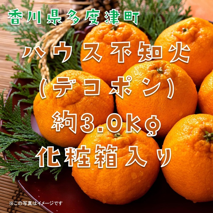 不知火（デコポン）ハウス栽培 約3kg【予約受付中！令和7年12月下旬頃～】【B-32】
