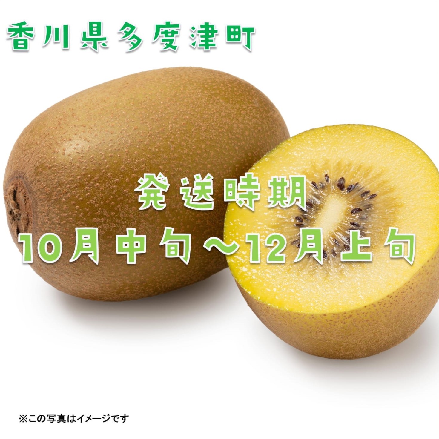 香川県オリジナルキウイフルーツ『さぬきゴールド』約3kg【予約受付中！令和8年10月中旬頃から発送】【B-17】