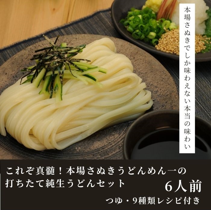 純生！これぞ真髄！本場さぬきうどんめん一の打ちたてうどんセット(6人前)【L-11】