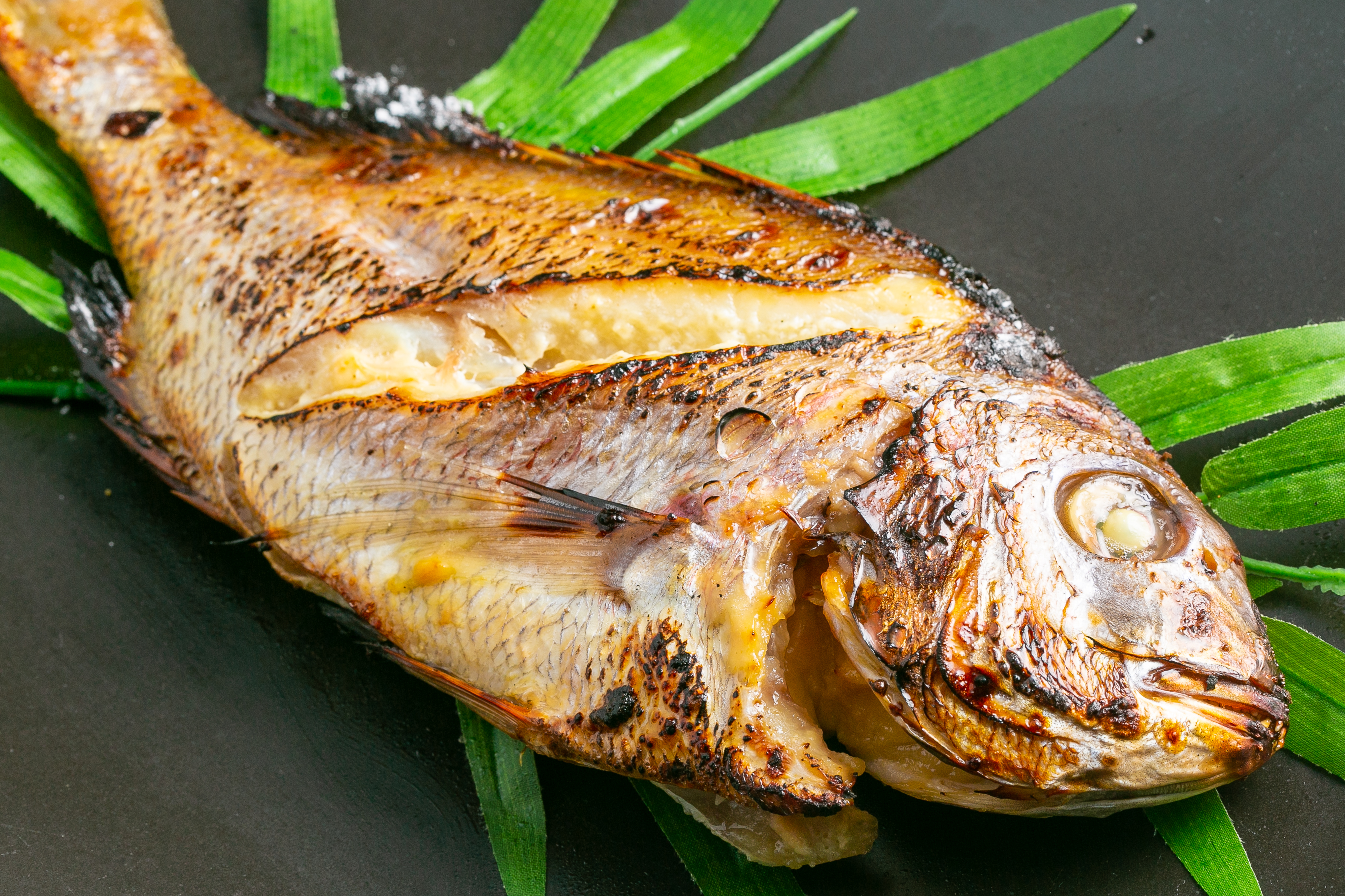 塩飽鯛 Cセット【A-75】