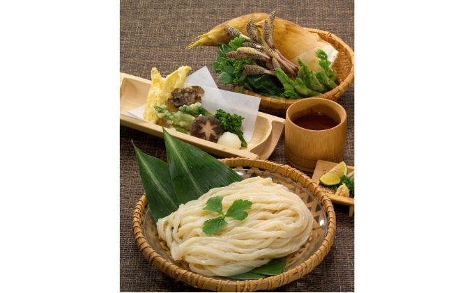 「瀬戸内中讃定住自立圏」うどんの名店食べ比べセット【C-21】