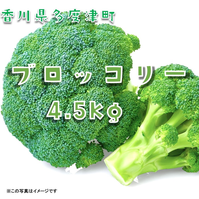 ブロッコリー　訳あり約4.5kg　サイズおまかせ【A-142】