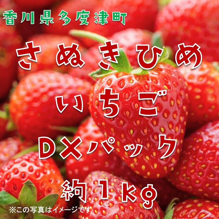 さぬきひめいちご 約1kgDXパック【予約受付中：令和7年12月より発送】【B-48】