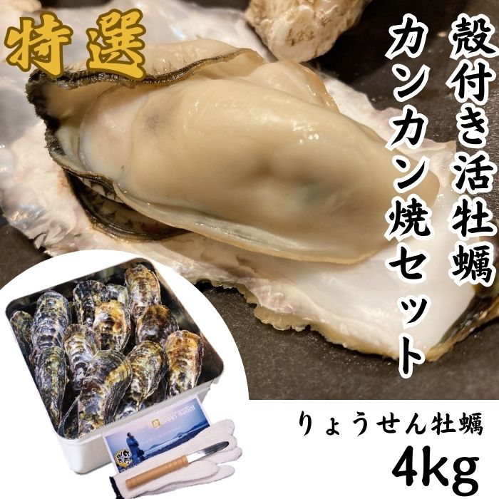 殻付活牡蠣カンカン焼セット4kg(加熱用)【予約受付中：旬にお届け！2026年2月末頃から期間限定出荷！】【B-7】