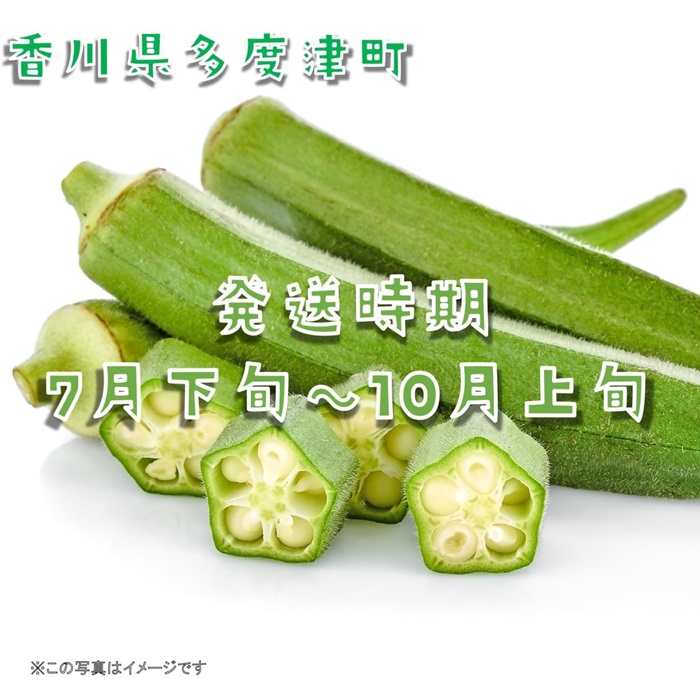 繧ェ繧ッ繝ゥ邏3kg繝舌Λ隧ー繧シ医o縺代≠繧奇シ峨植-145縲