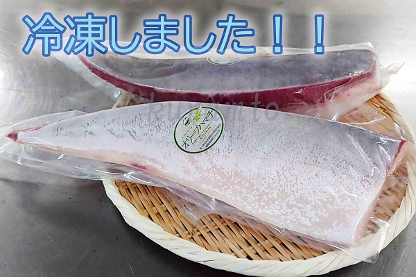 オリーブハマチ　冷凍　柵２本【A-105】