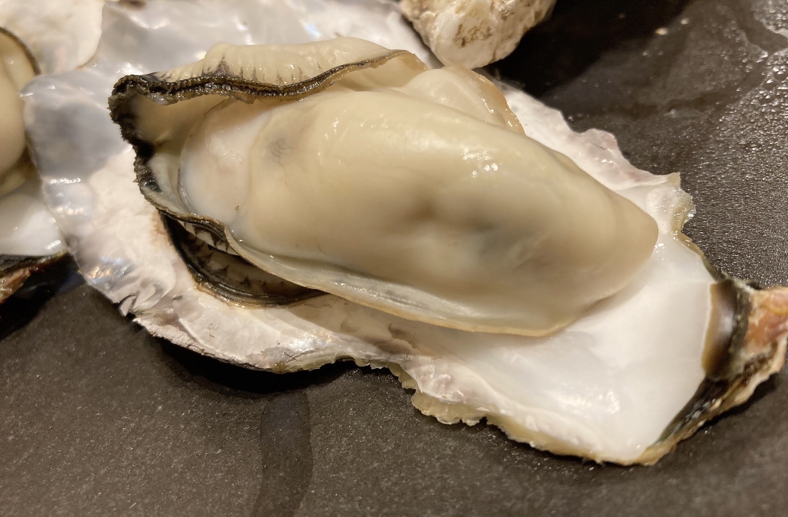 殻付活牡蠣カンカン焼セット3kg(加熱用)【予約受付中：旬にお届け！2026年2月末頃から期間限定出荷！】【H-1】