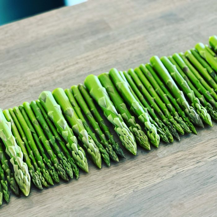 アスパラ王子が育てた自慢のアスパラ　おおもりやオリジナル　穂だけアスパラ1kg【予約受付：令和8年3～4月頃から順次発送】【H-77】