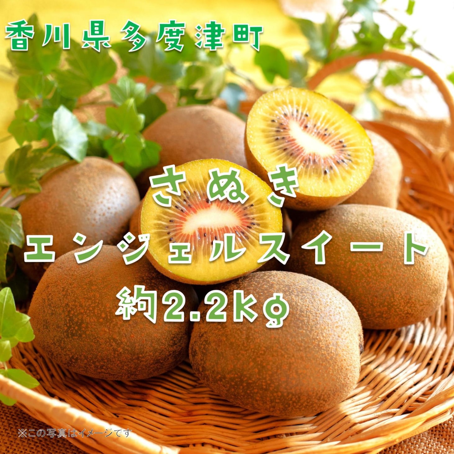 香川県オリジナルキウイフルーツ「さぬきエンジェルスイート」約2.5kg【予約受付中！令和7年11月中旬頃から発送】【B-30】