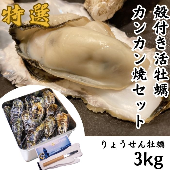 殻付活牡蠣カンカン焼セット3kg(加熱用)【予約受付中：旬にお届け！2026年2月末頃から期間限定出荷！】【H-1】