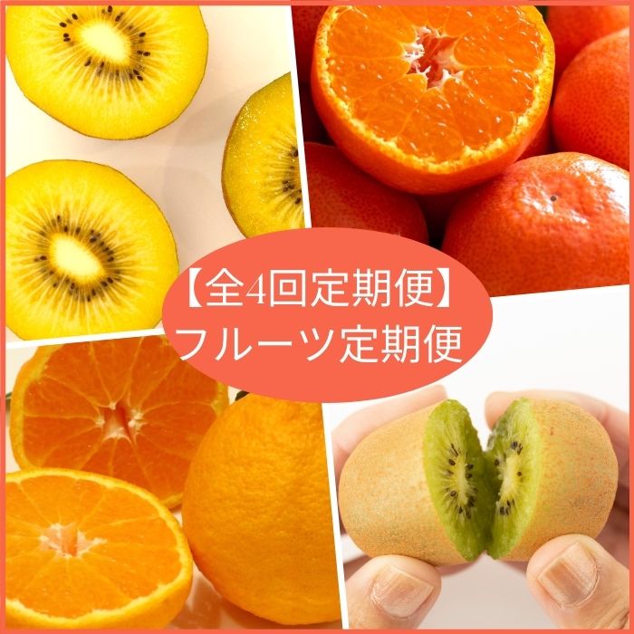 【全4回フルーツ定期便】さぬきゴールドと小原紅早生みかんとさぬきキウイっこと不知火【E-11】