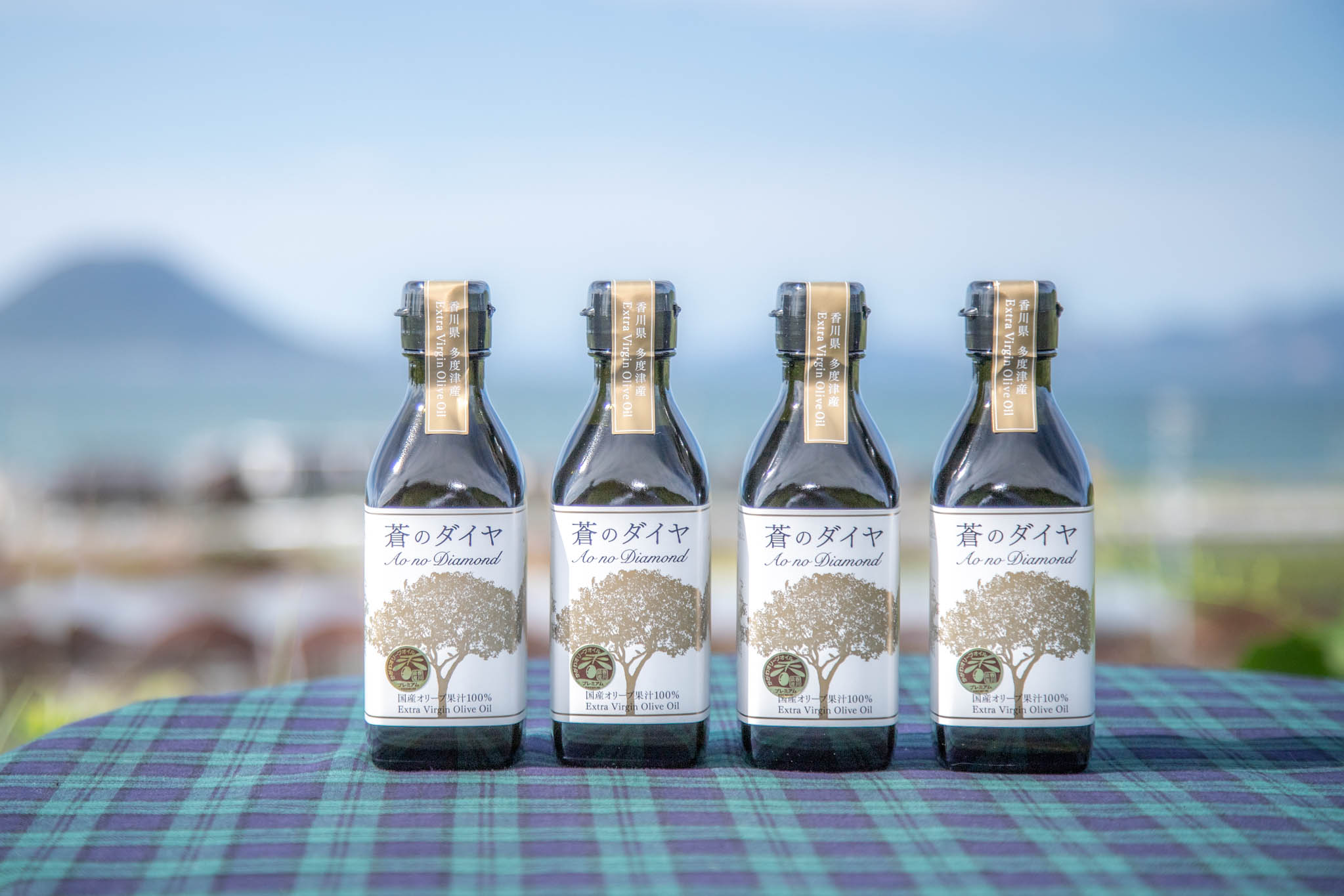 「蒼のダイヤ」オリーブオイルセットE[E-3]