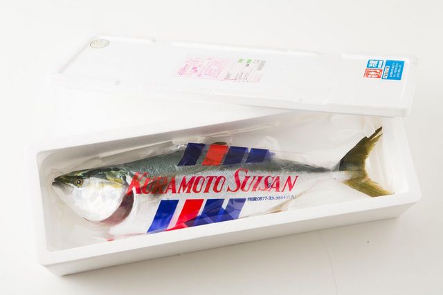 オリーブはまち１本まるごと【予約受付：令和7年10月中旬頃から出荷開始！】【C-311】