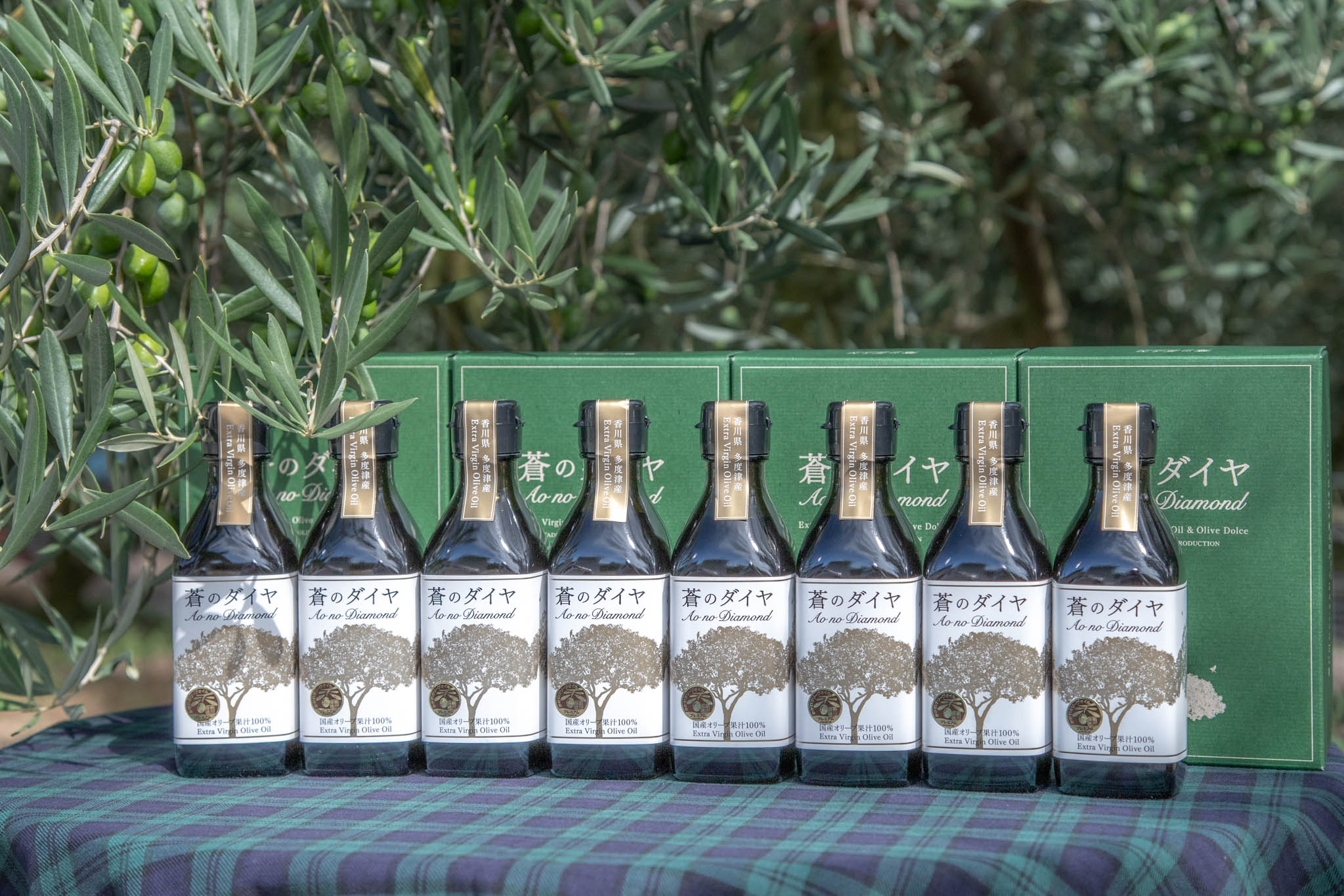 「蒼のダイヤ」オリーブオイルセットG【G-3】
