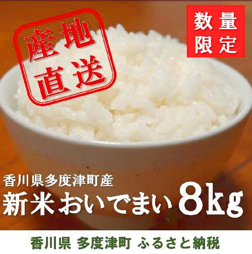 多度津町産 新米 おいでまい【令和7年産新米:11月頃より発送】（白米８kg）【A-11】