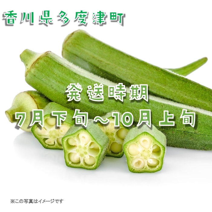 繧ェ繧ッ繝ゥ邏2.1kg縲30繝阪ャ繝医∪縺溘ッ繝舌Λ隧ー繧√植-144縲