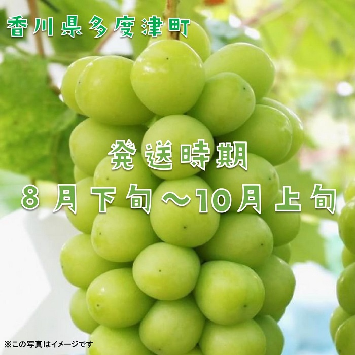 ã·ã£ã€ã³ãã¹ã«ããçŽ1.2kgïŒ2ïœ3æ¿å
¥ãïŒã什å8幎8æäžæ¬çºéïŒäºçŽåä»äžããB-13ã