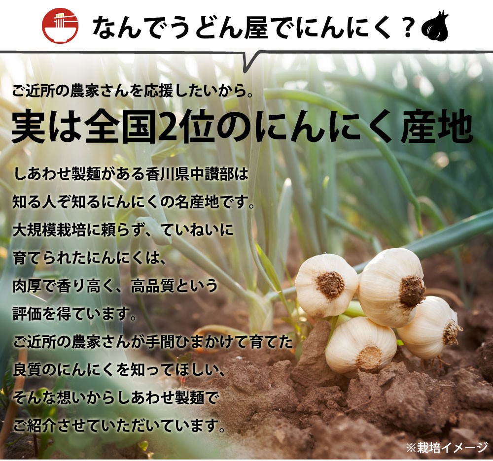 éŠå·çç£é»ã«ãã«ã䜿çšãçæé»ã«ãã«ã300ïœãA-43ã