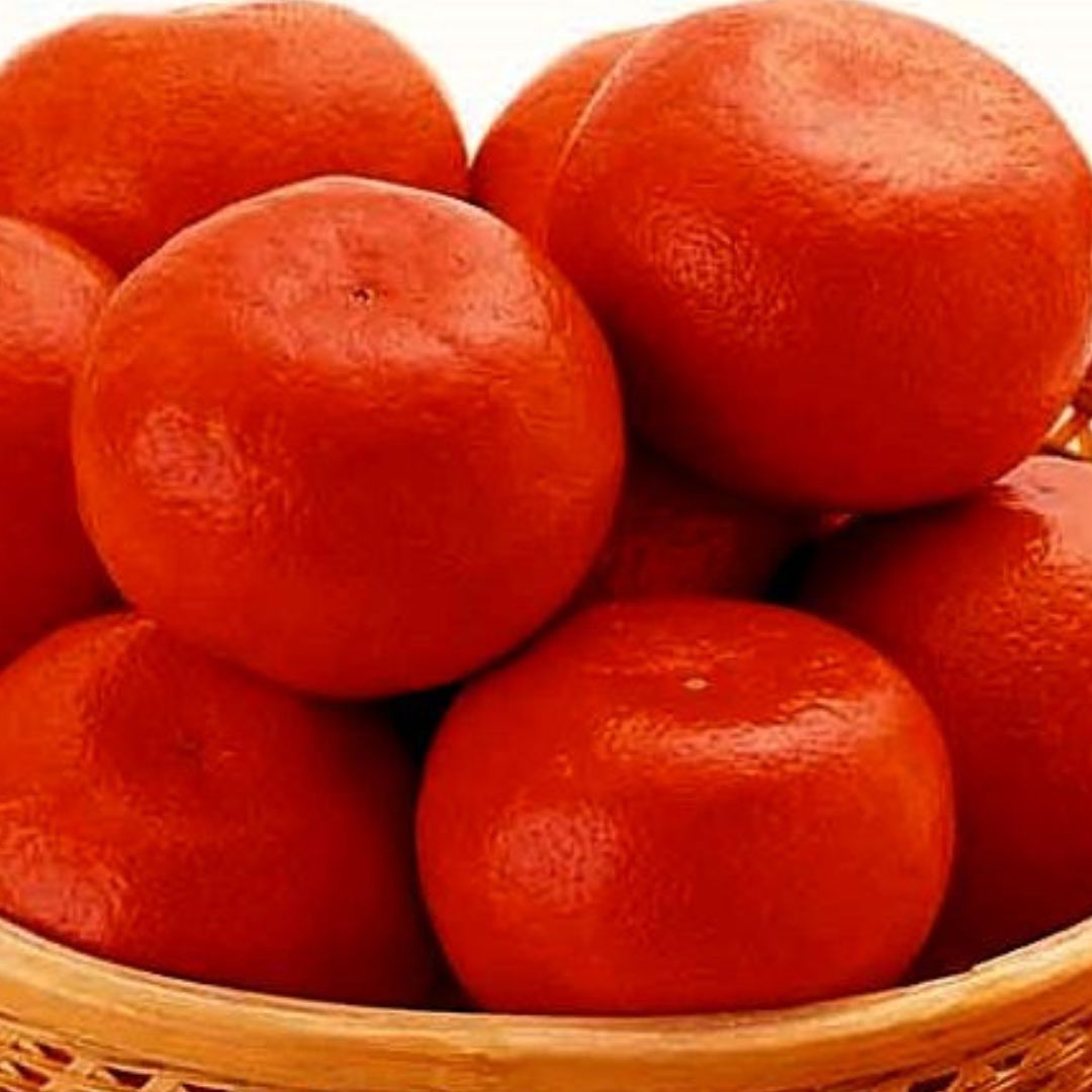 小原紅早生みかん　サイズS～L　約4.5kg【予約受付中！令和8年11月中旬頃より発送！】【B-59】