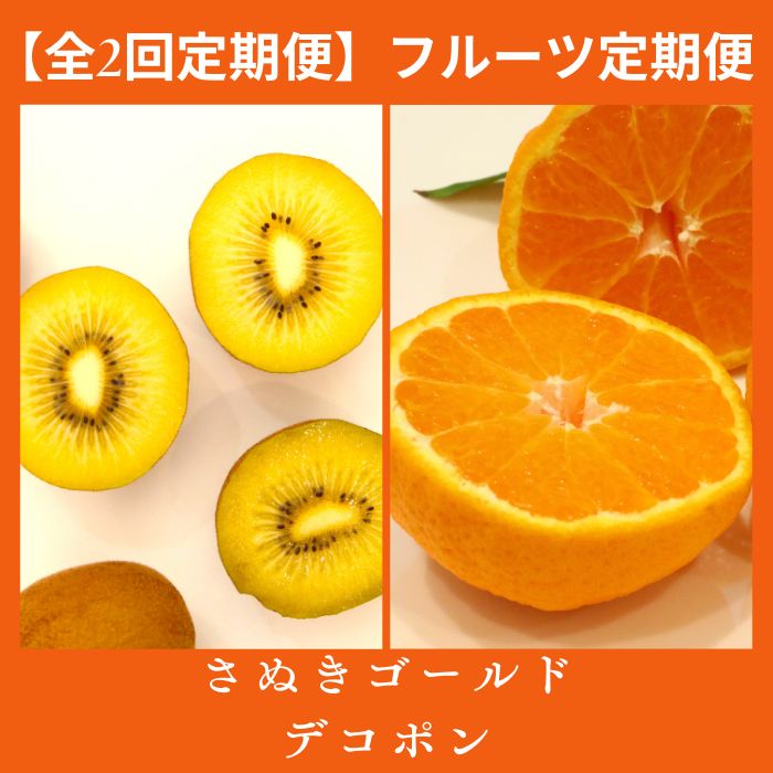 【全2回フルーツ定期便】さぬき讃フルーツ　さぬきゴールドと不知火(デコポン)【C-26】