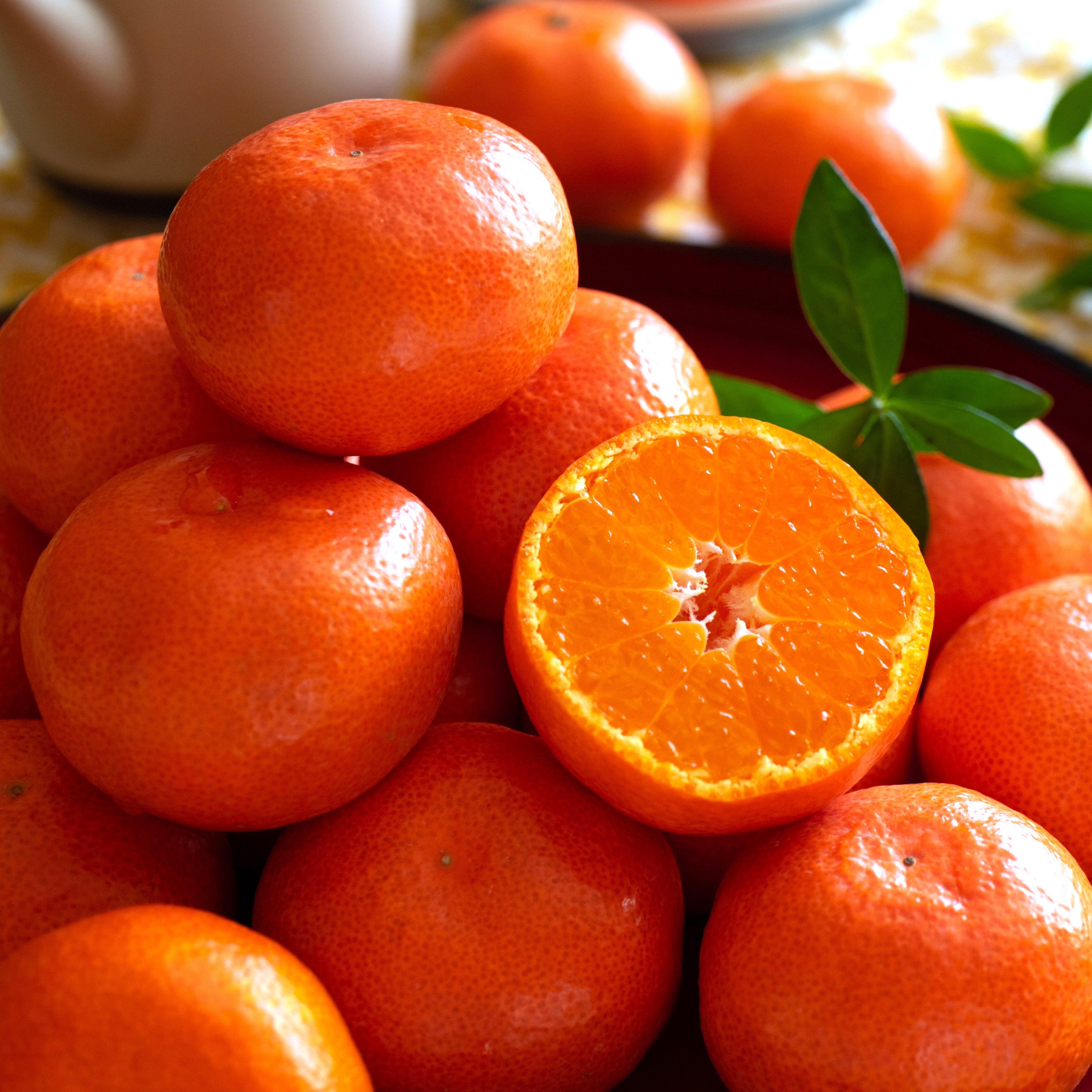 【フルーツ定期便】さぬき讃フルーツ６種類 旬のフルーツを１種類ずつお届け【G-4】