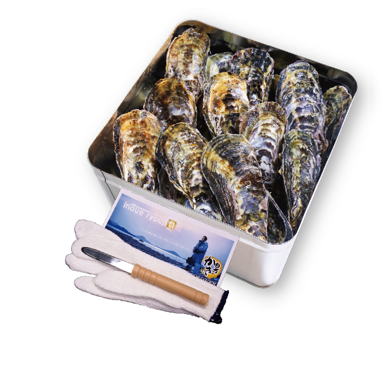 殻付活牡蠣カンカン焼セット4kg(加熱用)【予約受付中：旬にお届け！2026年2月末頃から期間限定出荷！】【B-7】