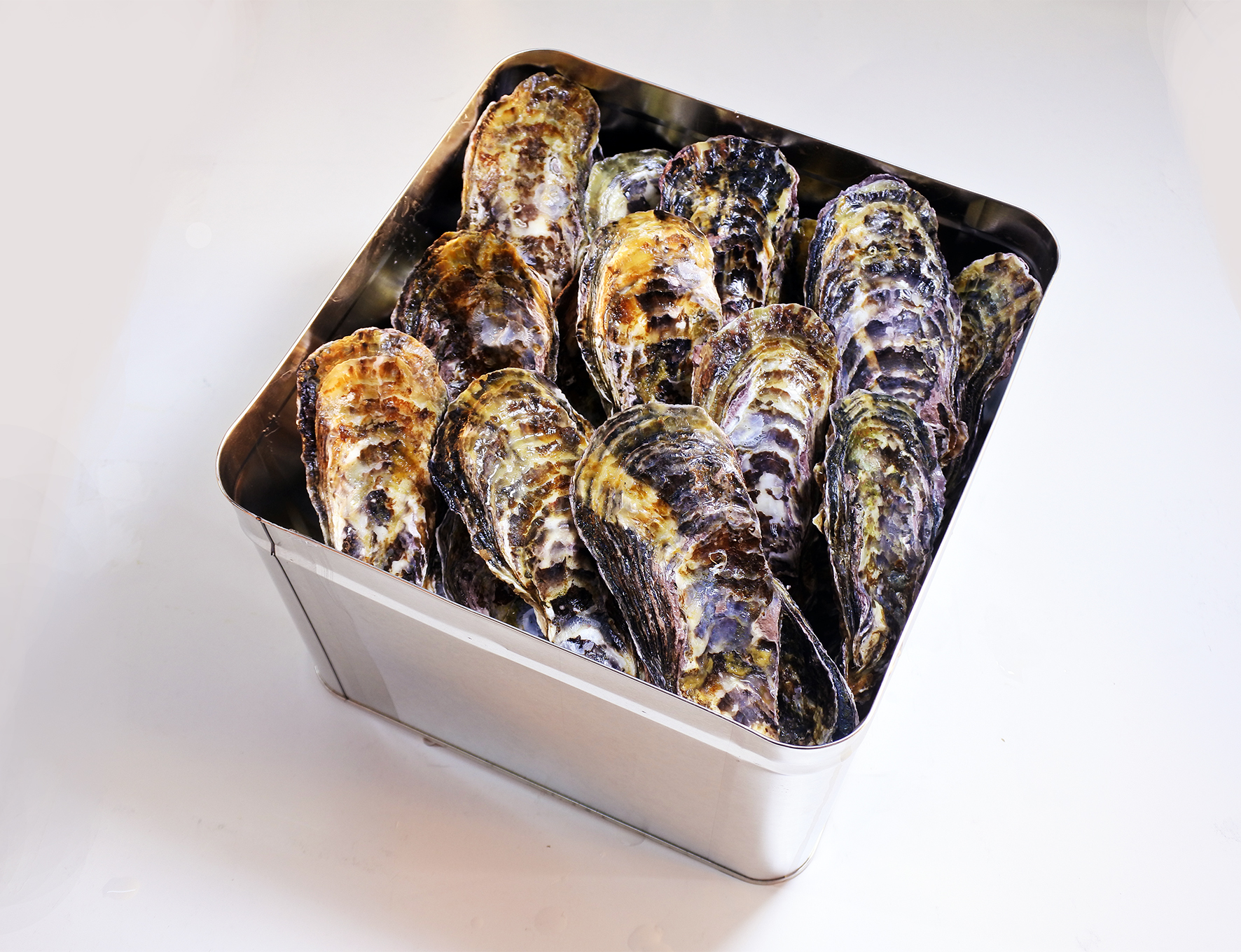 殻付活牡蠣カンカン焼セット3kg(加熱用)【予約受付中：旬にお届け！2026年2月末頃から期間限定出荷！】【H-1】