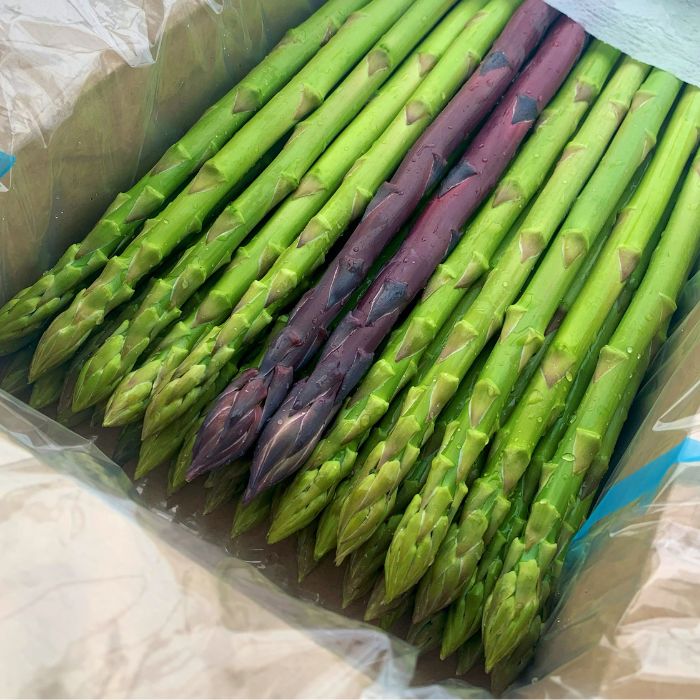 アスパラ王子が育てた自慢のアスパラ「2Lサイズ」1kg（さぬきのめざめ　おおもりや）【予約受付：ご用意でき次第発送】【H-55】
