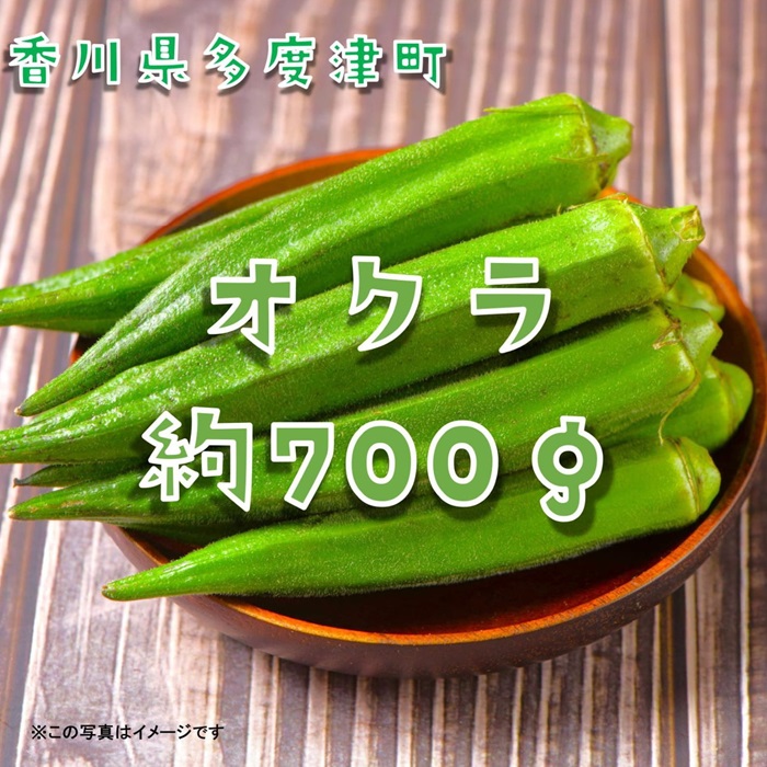 オクラ約700g　10ネットまたはバラ詰め【L-71】