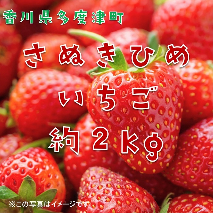 香川県オリジナル品種 さぬきひめいちご 約2kgパック【令和8年2月中旬頃より発送】【B-50】
