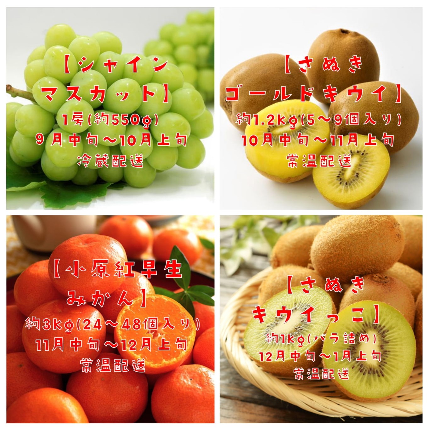 【フルーツ定期便】フルーツ王国さぬきの旬のフルーツを毎月１種類ずつお届け【G-8】