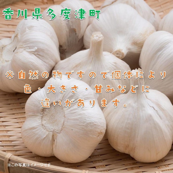 螟壼コヲ豢・逕コ逕」縲荵セ辯・縺ォ繧薙↓縺上蝉コ育エ蜿嶺サ倅クュシ 莉、蜥8蟷エ6譛井クュ譌ャ繧医j逋コ騾シ√代殖-21縲