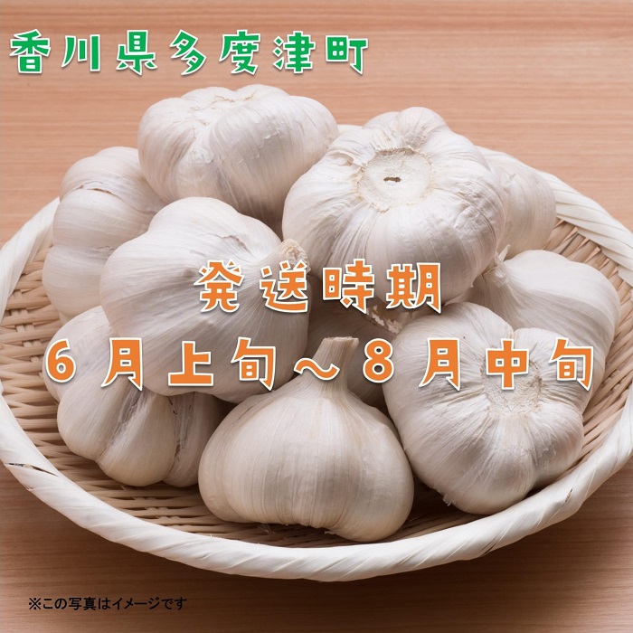 螟壼コヲ豢・逕コ逕」縲荵セ辯・縺ォ繧薙↓縺上蝉コ育エ蜿嶺サ倅クュシ 莉、蜥8蟷エ6譛井クュ譌ャ繧医j逋コ騾シ√代殖-21縲