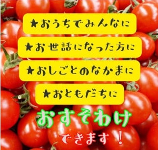 繝繧、繧ッ繝輔ぃ繝シ繝縺ョ 縲悟、壼コヲ豢・縺翫☆縺昴o縺代Α繝九ヨ繝槭ヨ縲咲エ1.4kg縲先流縺ョ譎よ悄縺ォ縺雁ア翫¢縲代伸-44縲
