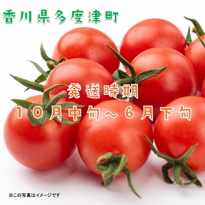 ããããããçŽïŒkgãB-23ã