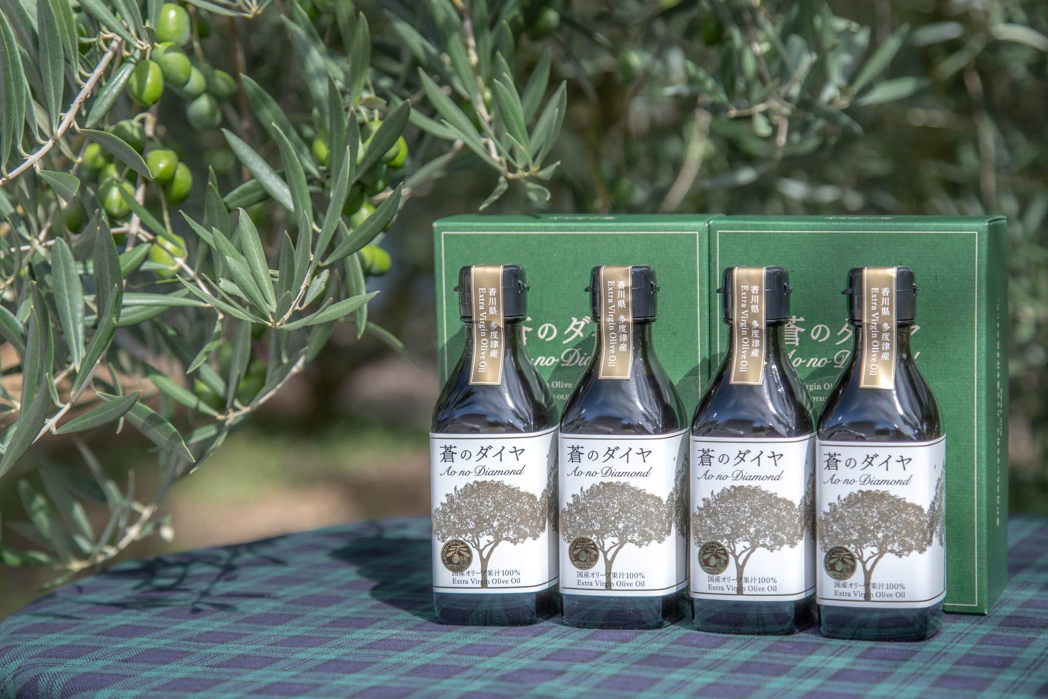 ãèŒã®ãã€ã€ããªãªãŒããªã€ã«ã»ããEãE-3ã