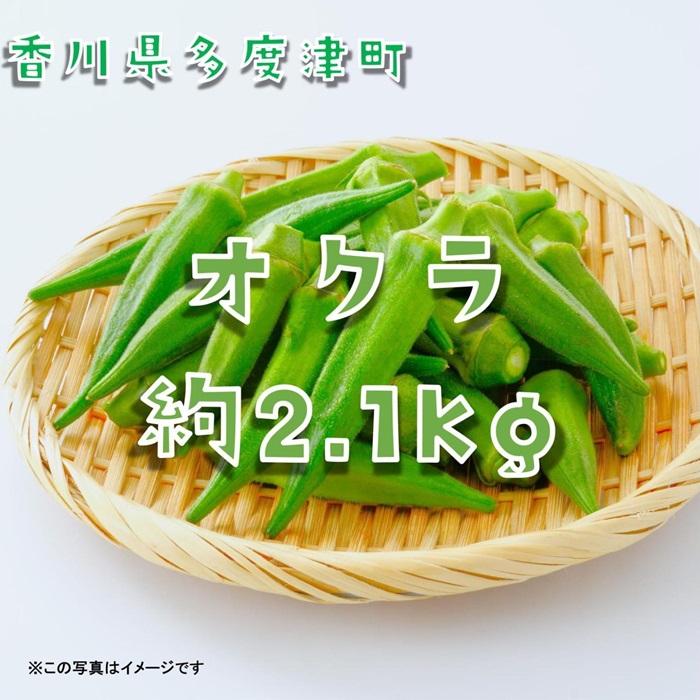 オクラ約2.1kg　30ネットまたはバラ詰め【A-144】
