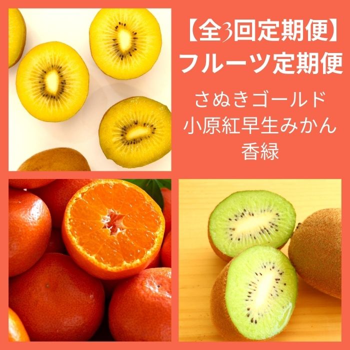 ãå
š3åãã«ãŒãå®æäŸ¿ããã¬ãè®ãã«ãŒããã¬ããŽãŒã«ããšå°åçŽ
æ©çã¿ãããšéŠç·ãD-13ã