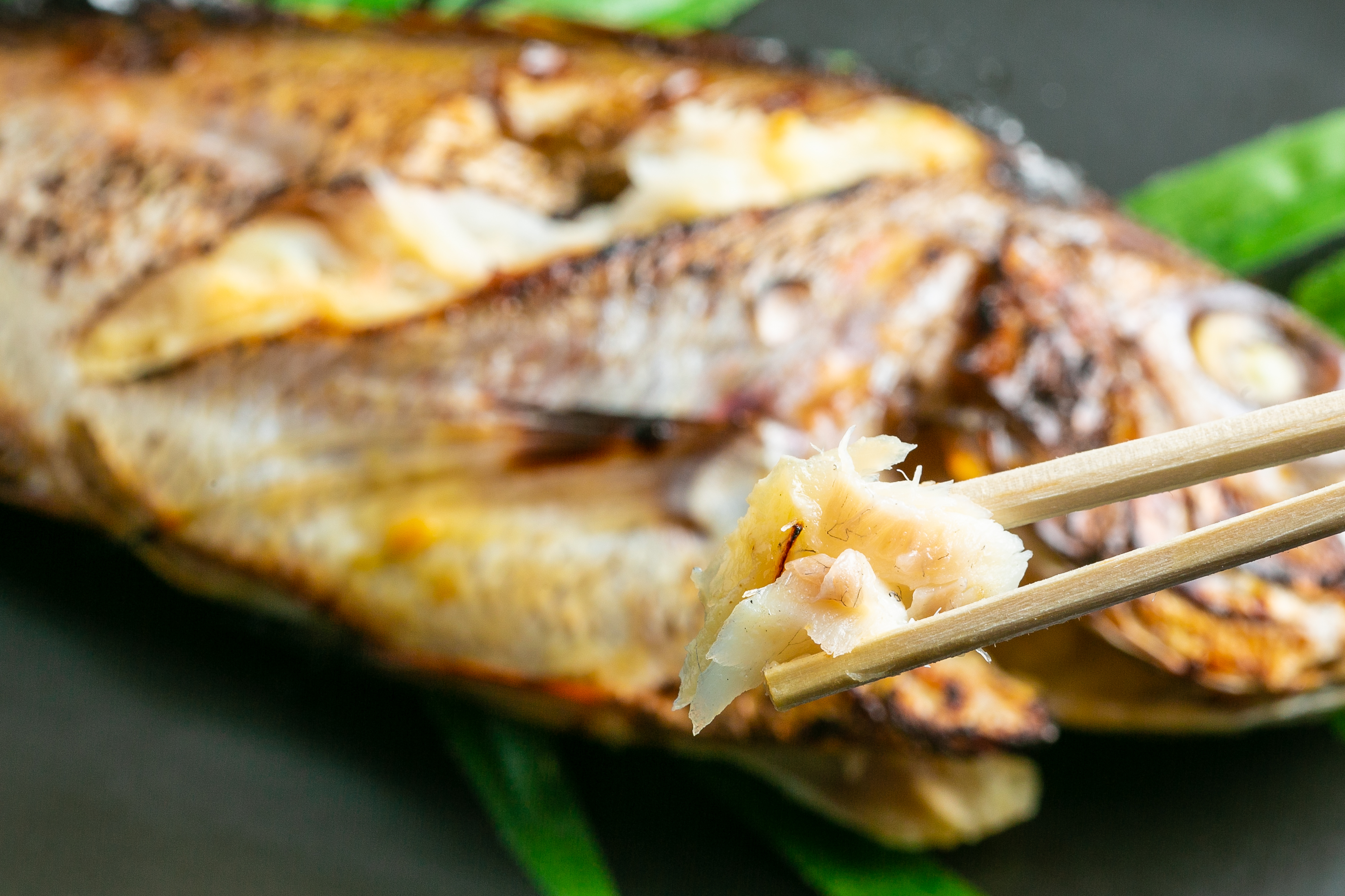 塩飽鯛 Aセット【A-73】