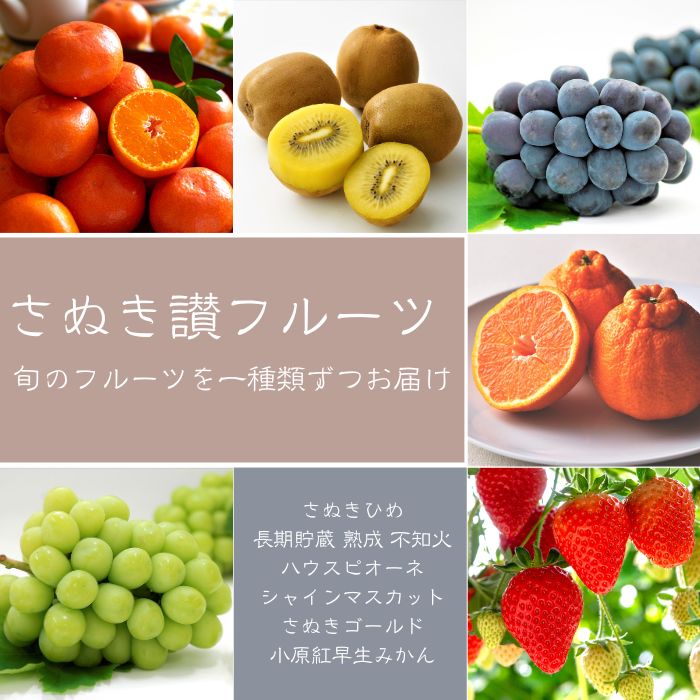 【フルーツ定期便】さぬき讃フルーツ６種類 旬のフルーツを１種類ずつお届け【G-4】