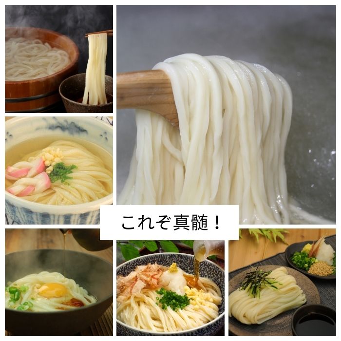 純生！これぞ真髄！本場さぬきうどんめん一の打ちたてうどんセット(6人前)【L-11】